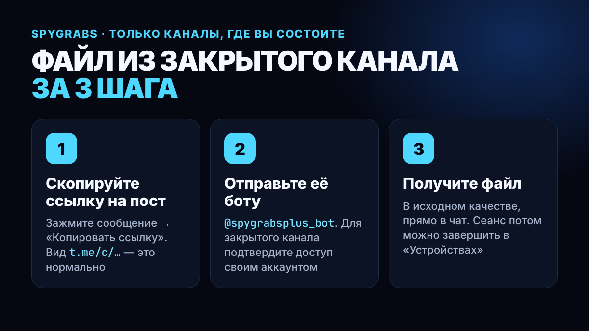 Три шага: скопировать ссылку на пост, отправить её боту @spygrabsplus_bot, получить файл в исходном качестве